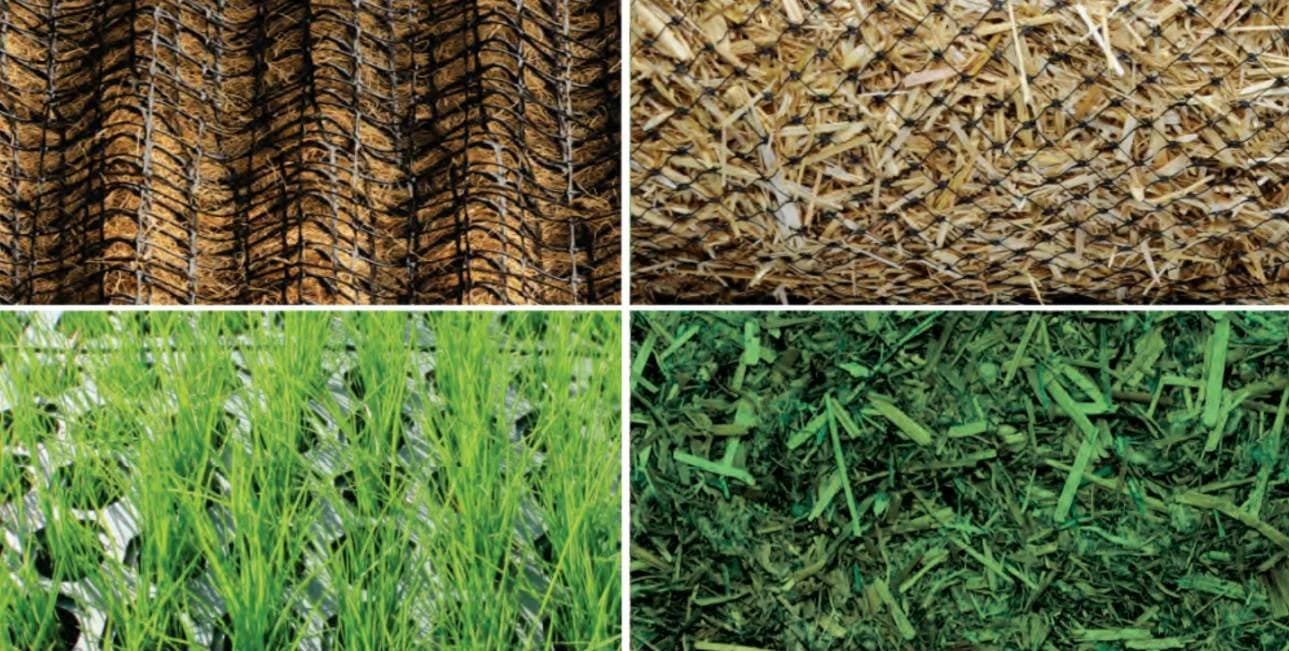 Custom & Spec Soils